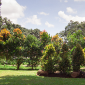 44. Ervin's Tree Services