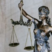 263. Lewis Law Firm