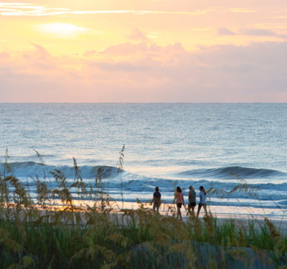 Palmetto Dunes 1605698265281